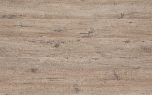 *CLASSEN ADVENTURE 62597 4V DUB WINDSOR WR