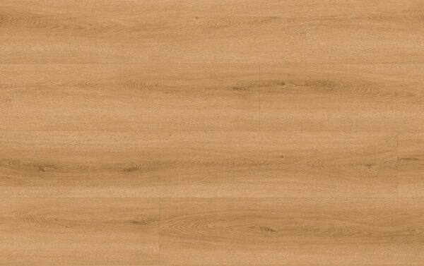 CHECK COMFORT 2509 DUB TORDERA