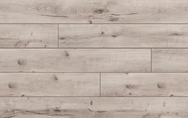 TREND AQUA protect 4V 56621 DUB DARGIN 52599