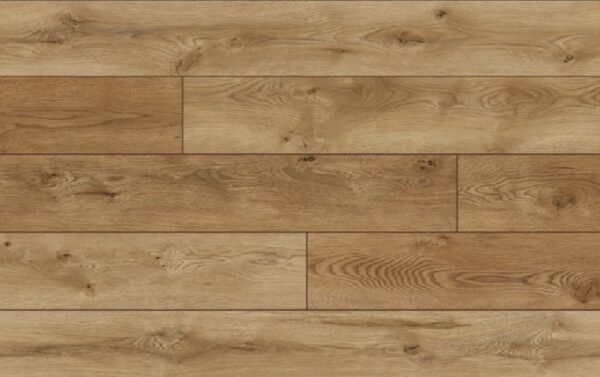 *VISION AQUA protect 4V 55493 DUB ALBERTA 52792