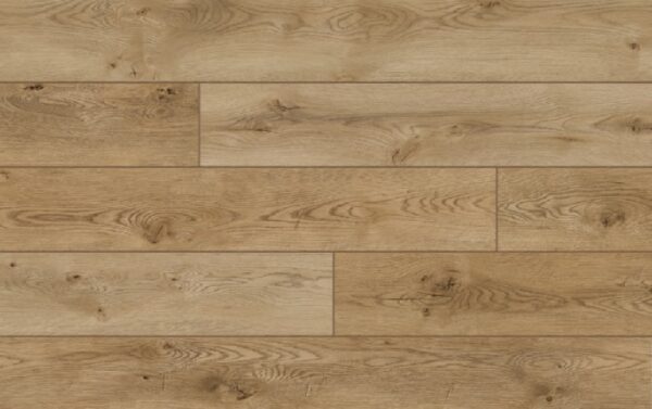 *VZORKA VISION AQUA protect 4V 52796 DUB ATHABASCA