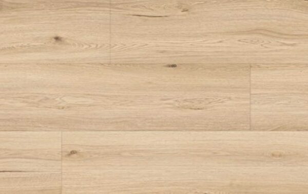 AMARON WOOD ACOUSTIC CAA 153 DUB YANKEE