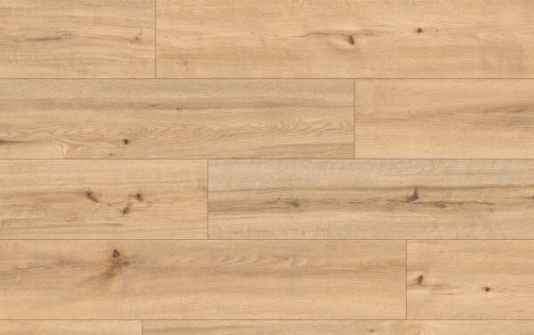 CLASSEN PRO NATURE 62537 BARRANQUILLA