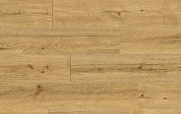 CLASSEN PRO NATURE 62541 SOACHA