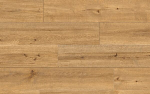 *CLASSEN PRO NATURE 62542 BELLO