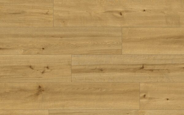 CLASSEN PRO NATURE 62543 CALDAS