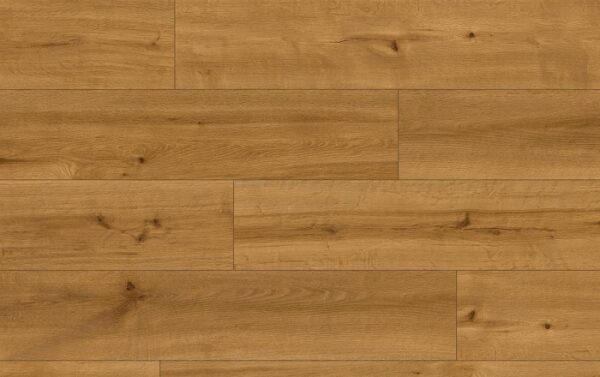 CLASSEN PRO NATURE 62544 ANDES