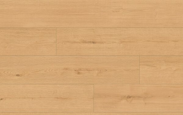 *VZORKA CLASSEN PRO NATURE 64633 DUB IPOLA