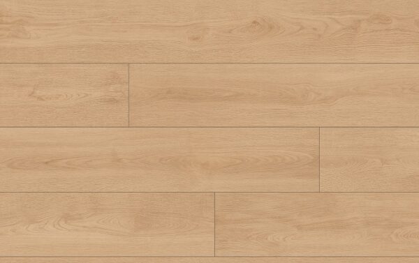 *VZORKA CLASSEN PRO NATURE 64635 DUB BODROG