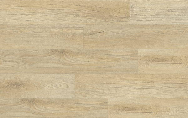 XpertPRO ELECTO DUB STELLATA 89220Q