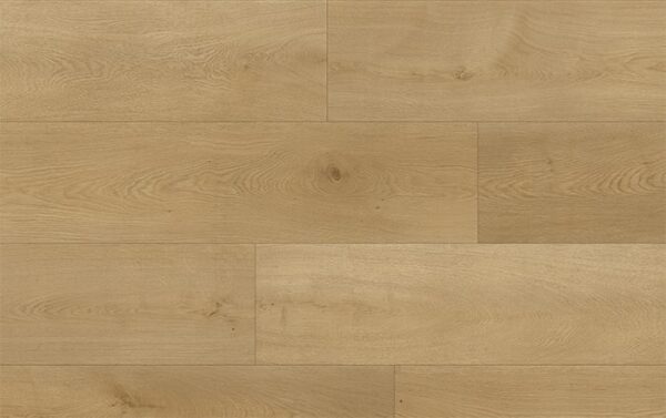 GUARDIAN 65361 DUB ARDEN 5 + 1 mm