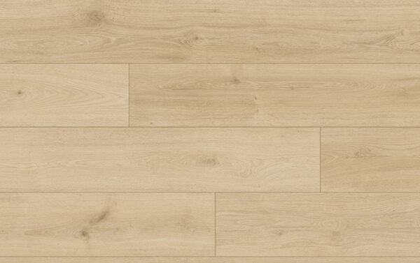 VZORKA TRADITION AQUA protect 4V 65120 DUB PISTOIA