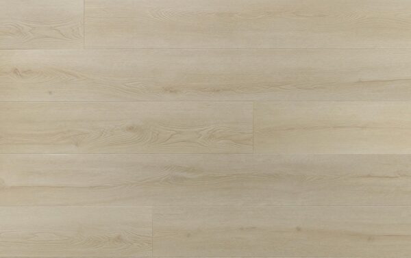 *AMARON SUPERIORE CASS 233 DUB CHARLOTTE