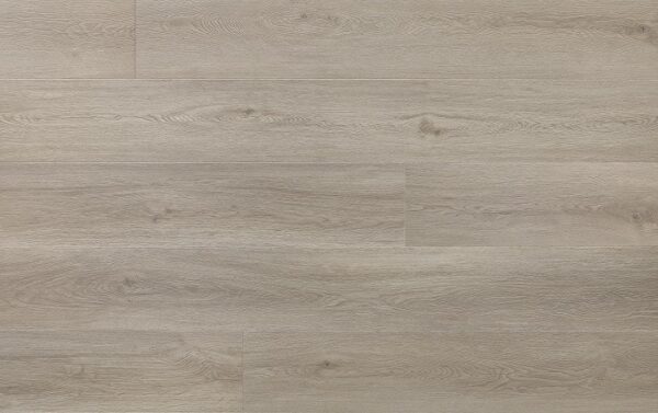 AMARON SUPERIORE CASS 202 DUB GREYLAND