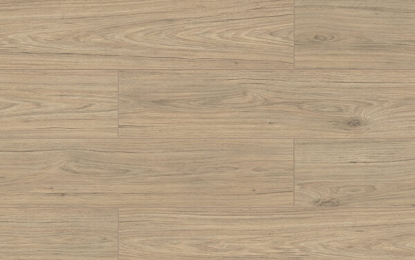 KASTAMONU WINGS FW003 HAWK 4V 8mm